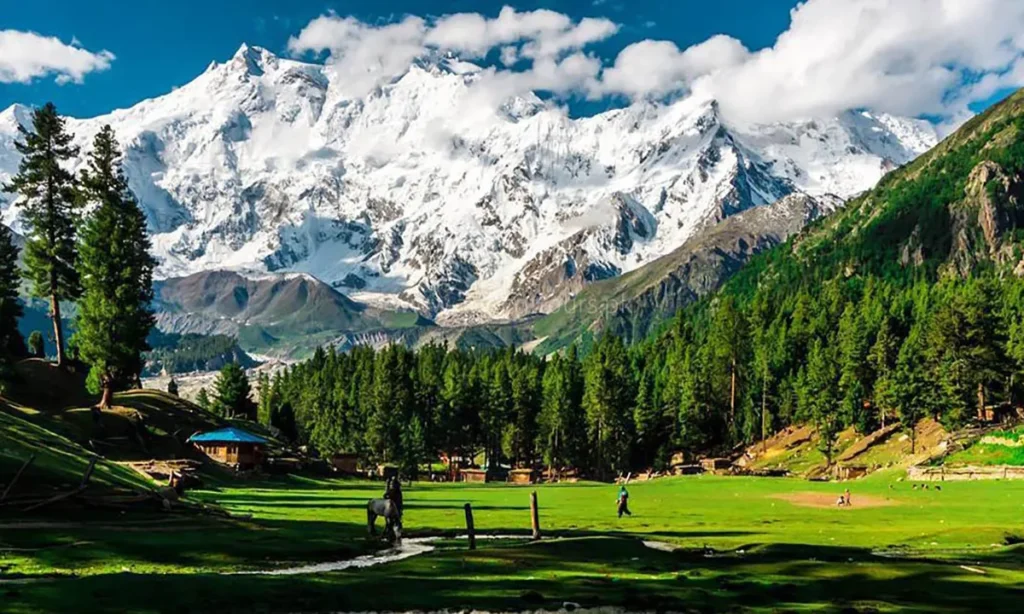 an image of fairy meadows with snow-capped mountains and green grasslands