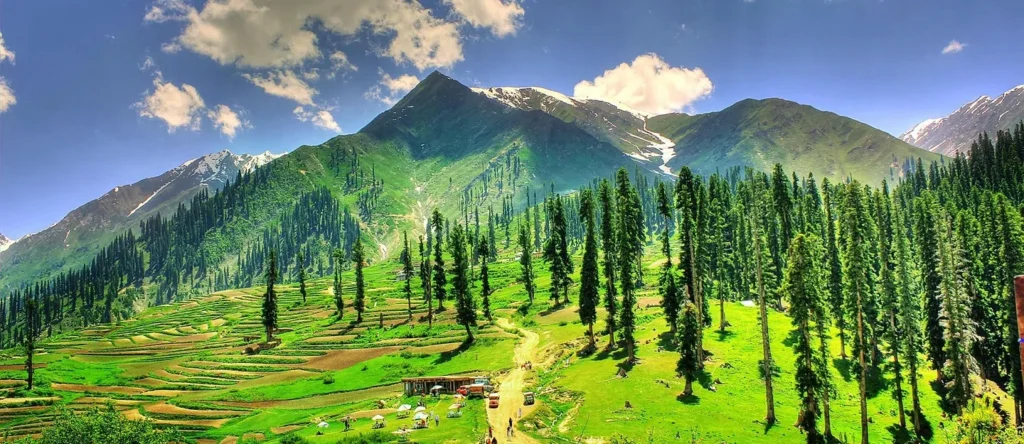 an image of green meadows and mountains of kaghan valley which is one of the  beautiful tourist places in pakistan