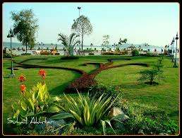 an image of garden and lake of lake view park 