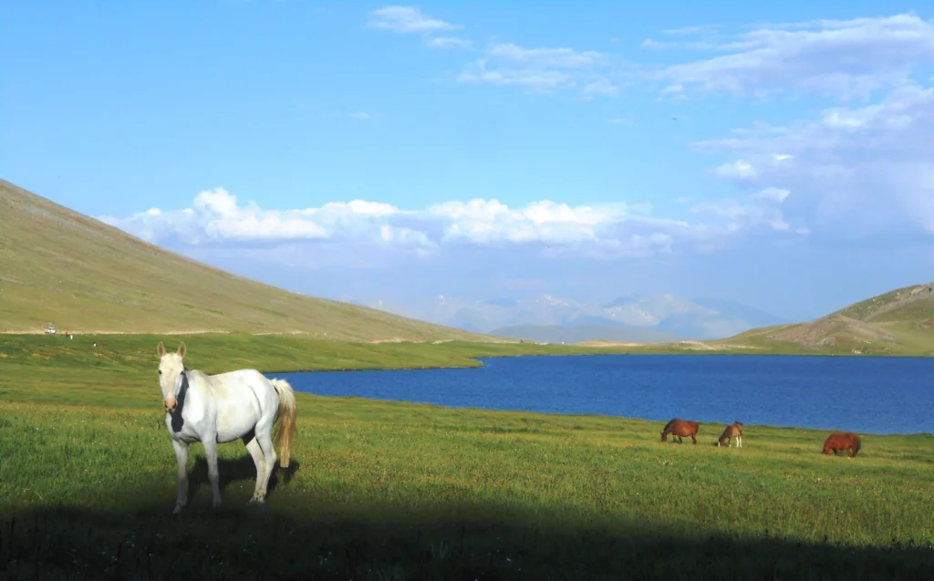 an image of sheosar lake which is one of the most famous places in skardu