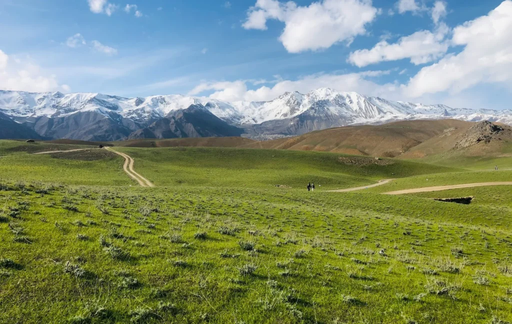 an image of meadow in chitral