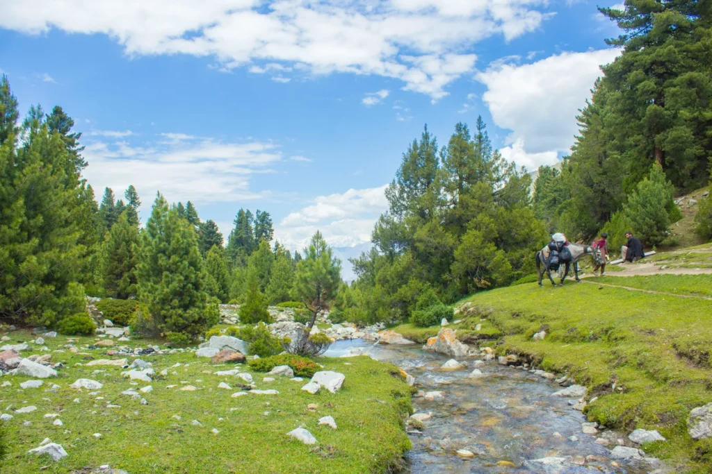 an image of beautiful scenery of fairy -meadows