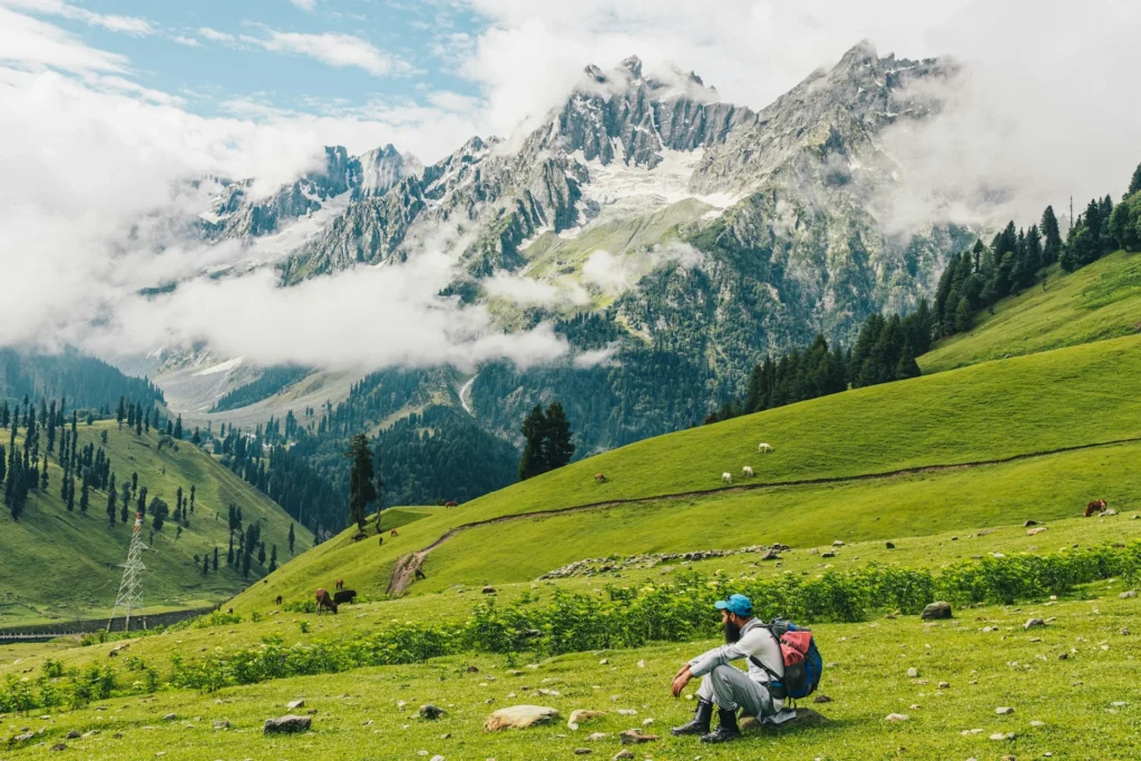 an image of kashmir's mountains and meadows and a man sitting on grass