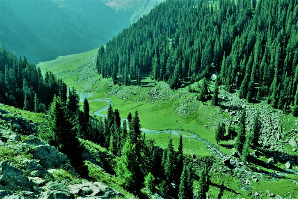an image of beautiful view of kalash valley