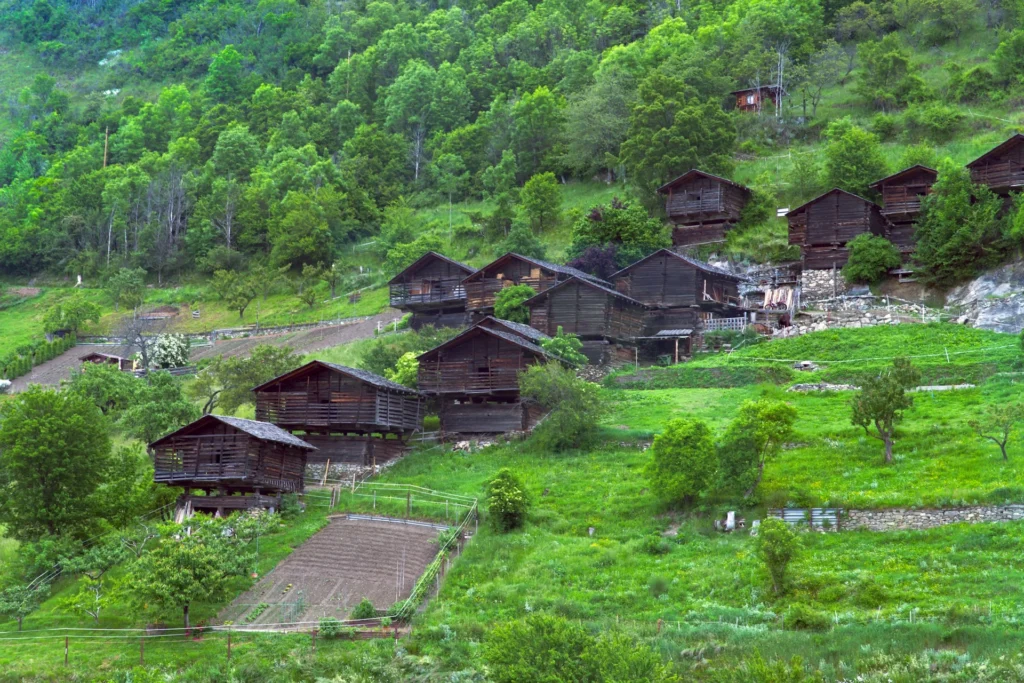 an image of wooden houses in kalash valley