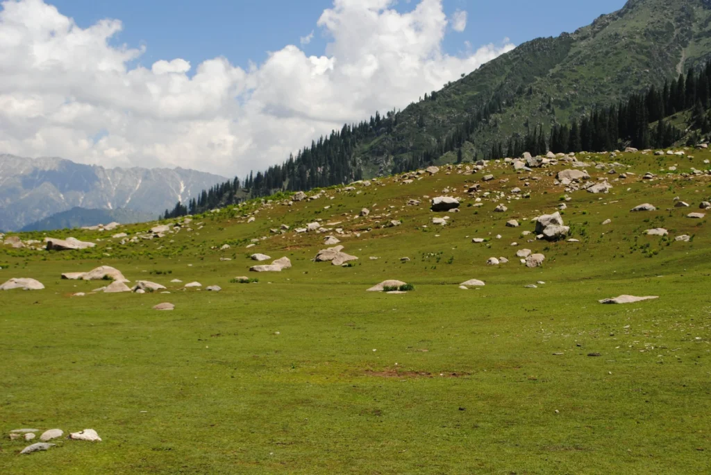 an image of green meadows of kumrat valley
